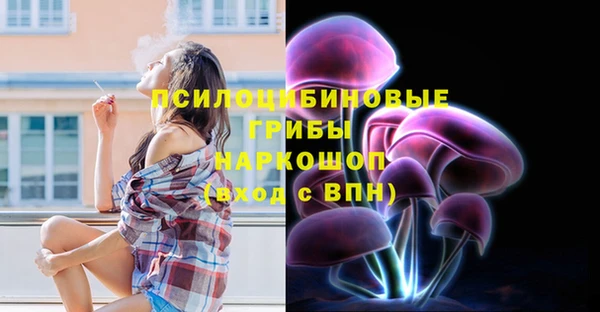 стафф Богородицк