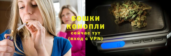 ПСИЛОЦИБИНОВЫЕ ГРИБЫ Богданович