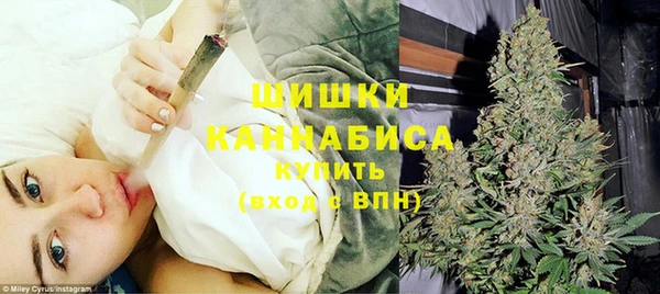 ПСИЛОЦИБИНОВЫЕ ГРИБЫ Богданович