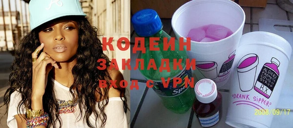 ПСИЛОЦИБИНОВЫЕ ГРИБЫ Богданович