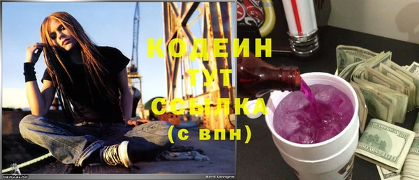 хмурый Бородино